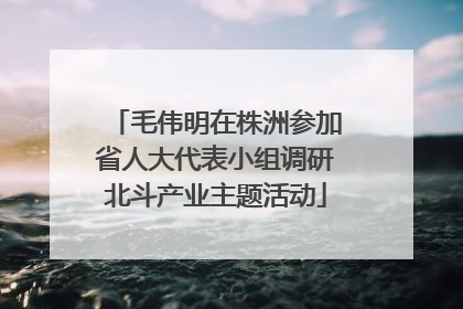 毛伟明在株洲参加省人大代表小组调研北斗产业主题活动