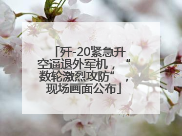 歼-20紧急升空逼退外军机，“数轮激烈攻防”，现场画面公布