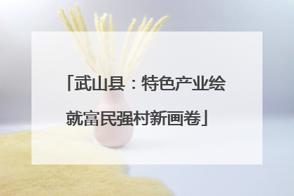 武山县：特色产业绘就富民强村新画卷