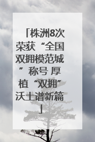 株洲8次荣获“全国双拥模范城”称号 厚植“双拥”沃土谱新篇