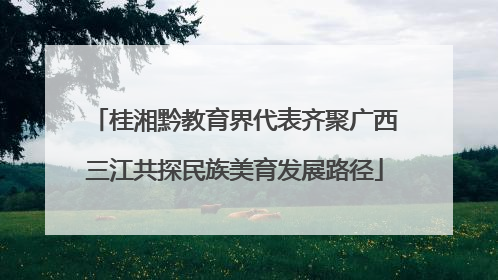 桂湘黔教育界代表齐聚广西三江共探民族美育发展路径