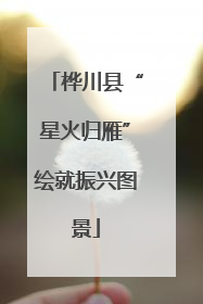 桦川县“星火归雁”绘就振兴图景