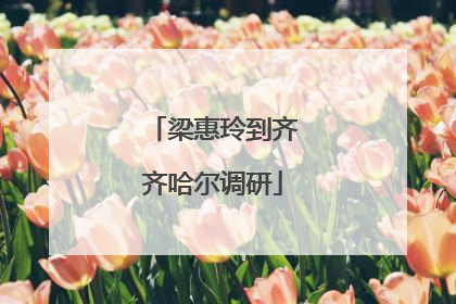 梁惠玲到齐齐哈尔调研