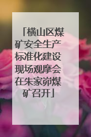 横山区煤矿安全生产标准化建设现场观摩会在朱家峁煤矿召开