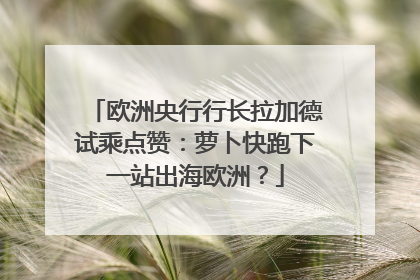 欧洲央行行长拉加德试乘点赞：萝卜快跑下一站出海欧洲？