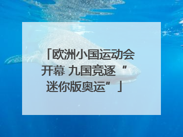 欧洲小国运动会开幕 九国竞逐“迷你版奥运”