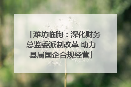 潍坊临朐：深化财务总监委派制改革 助力县属国企合规经营