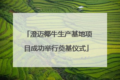 澄迈椰牛生产基地项目成功举行奠基仪式