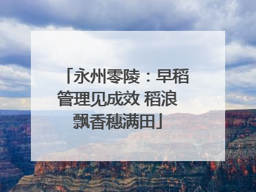 永州零陵：早稻管理见成效 稻浪飘香穗满田