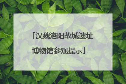 汉魏洛阳故城遗址博物馆参观提示