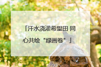 汗水浇灌希望田 同心共绘“绿画卷”