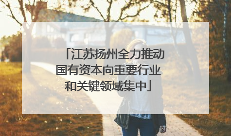 江苏扬州全力推动国有资本向重要行业和关键领域集中