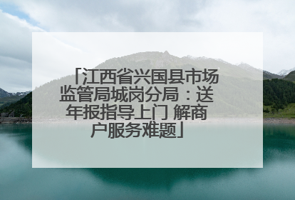 江西省兴国县市场监管局城岗分局：送年报指导上门 解商户服务难题