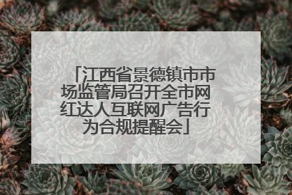 江西省景德镇市市场监管局召开全市网红达人互联网广告行为合规提醒会