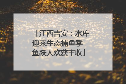 江西吉安：水库迎来生态捕鱼季 鱼跃人欢获丰收