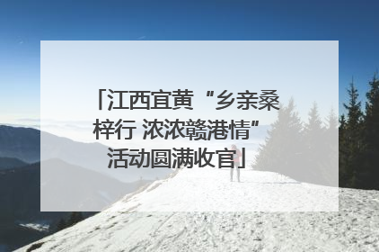 江西宜黄“乡亲桑梓行 浓浓赣港情”活动圆满收官