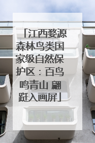 江西婺源森林鸟类国家级自然保护区：百鸟鸣青山 翩跹入画屏