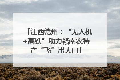 江西赣州：“无人机+高铁”助力赣南农特产“飞”出大山