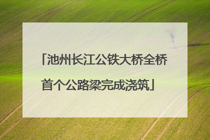 池州长江公铁大桥全桥首个公路梁完成浇筑