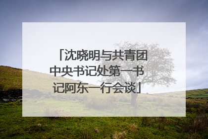 沈晓明与共青团中央书记处第一书记阿东一行会谈