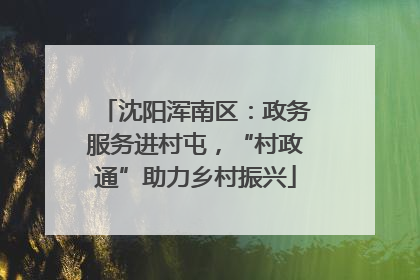 沈阳浑南区：政务服务进村屯，“村政通”助力乡村振兴