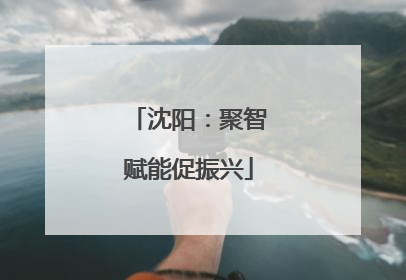 沈阳：聚智赋能促振兴