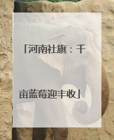 河南社旗：千亩蓝莓迎丰收