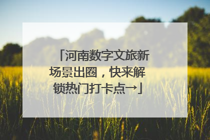 河南数字文旅新场景出圈，快来解锁热门打卡点→