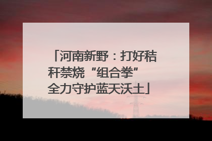 河南新野：打好秸秆禁烧“组合拳” 全力守护蓝天沃土