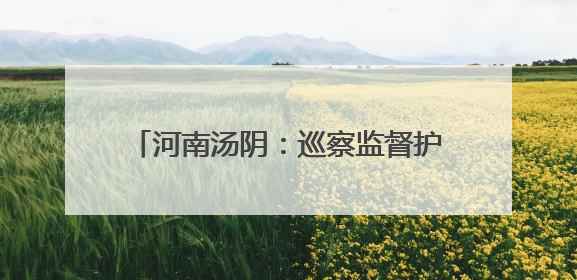 河南汤阴：巡察监督护民生 防汛一线筑安澜