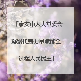 泰安市人大常委会凝聚代表力量赋能全过程人民民主