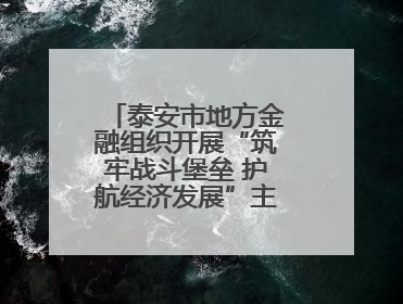 泰安市地方金融组织开展“筑牢战斗堡垒 护航经济发展”主题教育活动