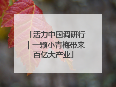 活力中国调研行｜一颗小青梅带来百亿大产业