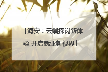 海安：云端探岗新体验 开启就业新视界