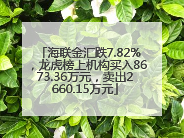 海联金汇跌7.82%，龙虎榜上机构买入8673.36万元，卖出2660.15万元