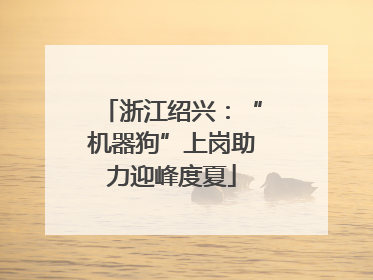 浙江绍兴：“机器狗”上岗助力迎峰度夏