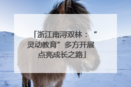 浙江南浔双林：“灵动教育”多方开展 点亮成长之路