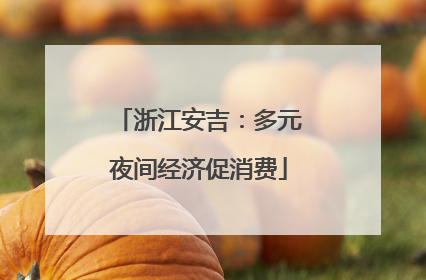 浙江安吉：多元夜间经济促消费