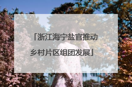 浙江海宁盐官推动乡村片区组团发展