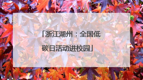 浙江湖州：全国低碳日活动进校园