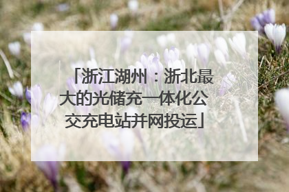浙江湖州：浙北最大的光储充一体化公交充电站并网投运