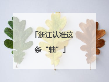 浙江认准这条“轴”