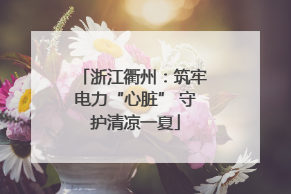 浙江衢州：筑牢电力“心脏” 守护清凉一夏