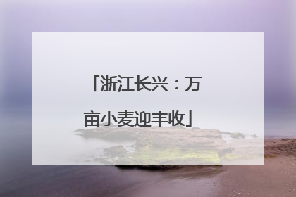 浙江长兴：万亩小麦迎丰收