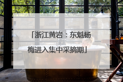 浙江黄岩：东魁杨梅进入集中采摘期
