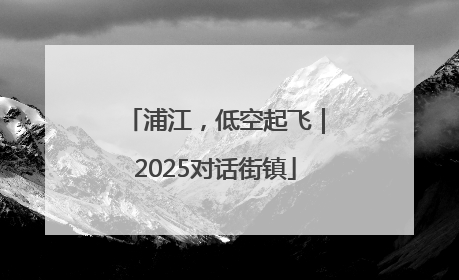 浦江,低空起飞|2025对话街镇
