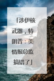 涉伊核武器，特朗普：美情报总监搞错了