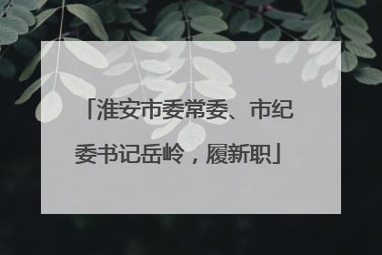 淮安市委常委、市纪委书记岳岭，履新职