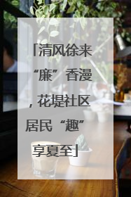 清风徐来“廉”香漫，花堤社区居民“趣”享夏至