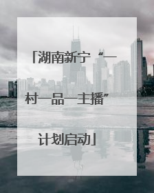 湖南新宁“一村一品一主播”计划启动